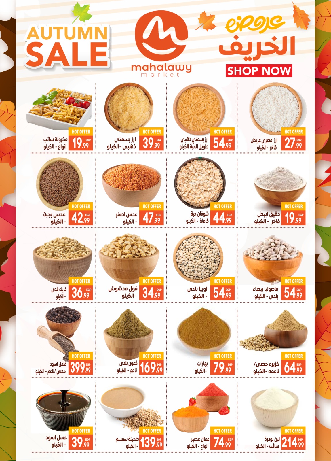 el-mahallawy-sons offers from 23oct to 2oct 2025 عروض اولاد المحلاوى من 23 أكتوبر حتى 2 أكتوبر 2025 صفحة رقم 9